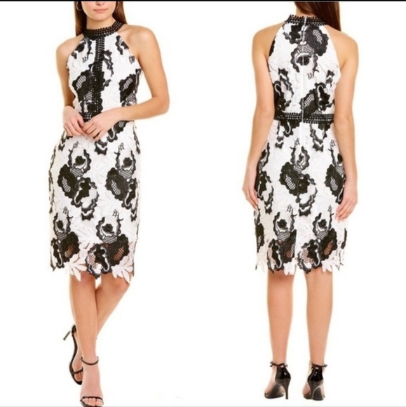 Alexia Admor Women's Celine Lacy Dress size 6 Black & White - Picture 1 of 9